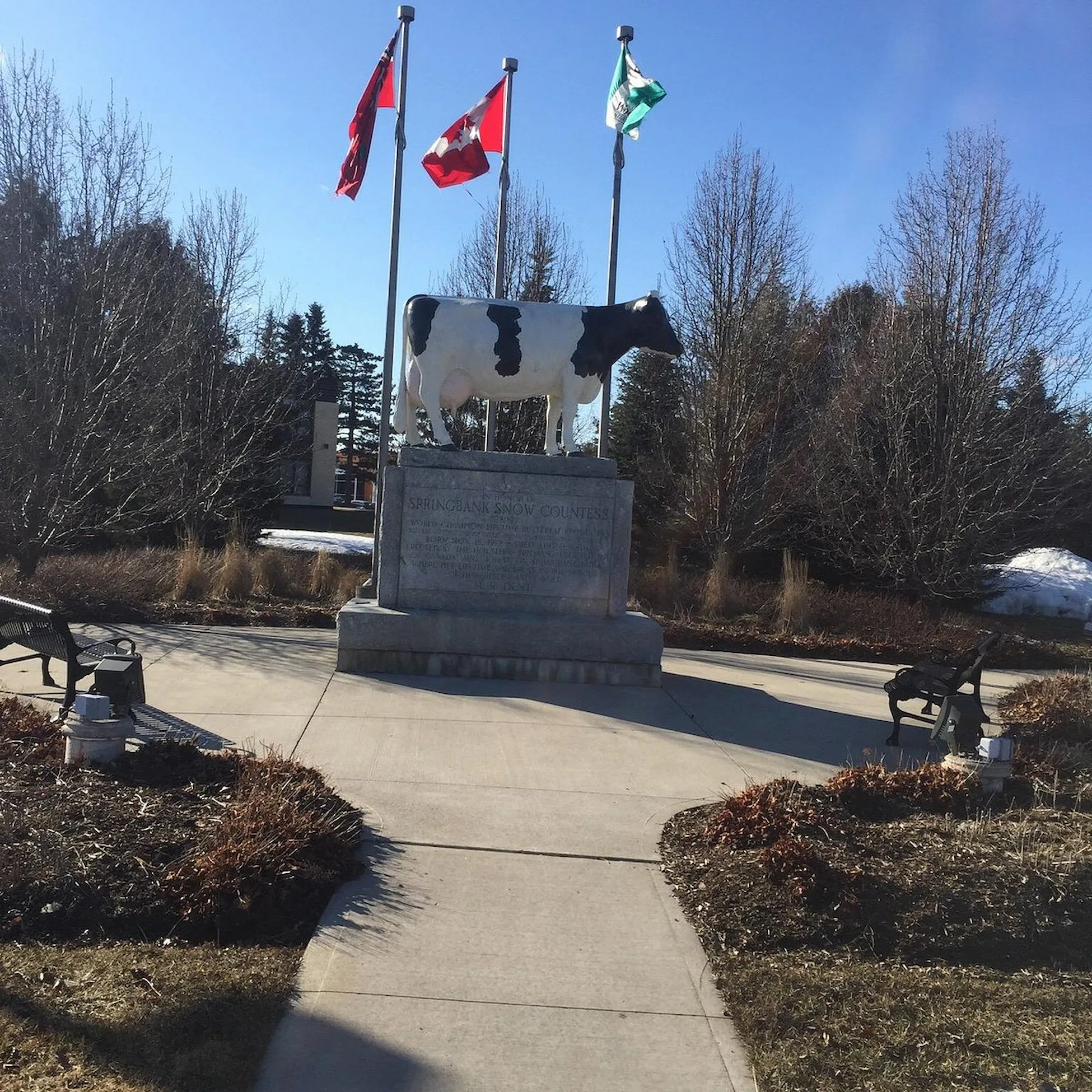 Woodstock Ontario water softener salt delivery